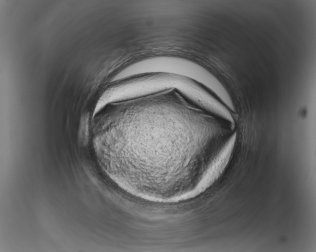 X0000116100028200912141007