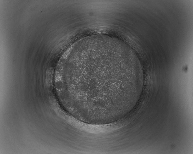 X0000116100030200912141007