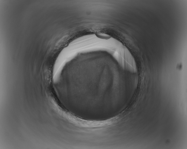 X0000116100031200912141007