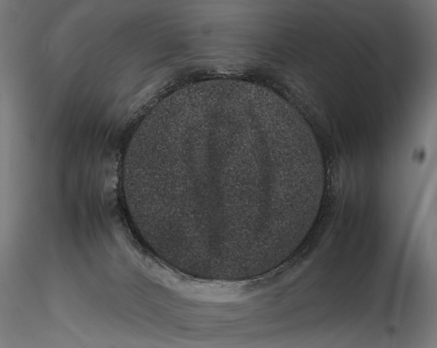 X0000116100032200912141007