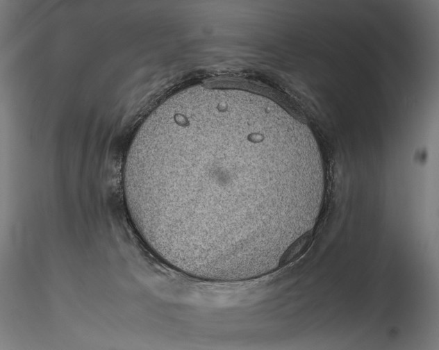 X0000116100033200912141007