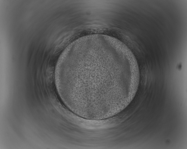 X0000116100034200912141007