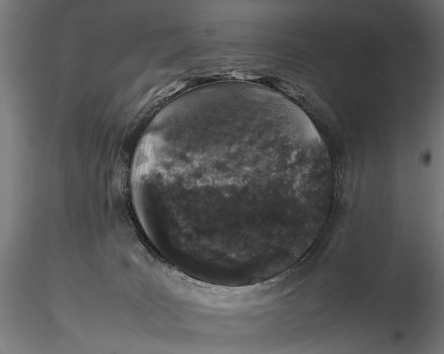 X0000116100035200912141007