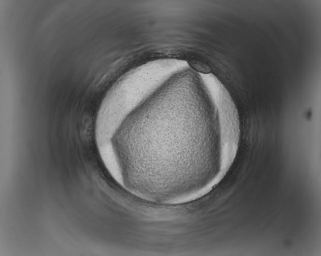 X0000116100036200912141007