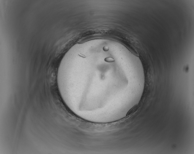 X0000116100037200912141007