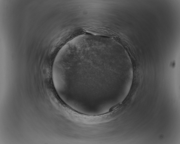 X0000116100039200912141007