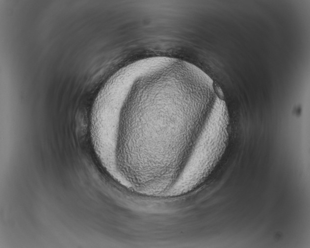 X0000116100040200912141007