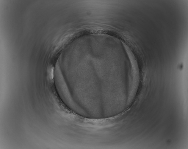 X0000116100041200912141007