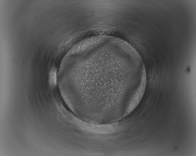 X0000116100042200912141007