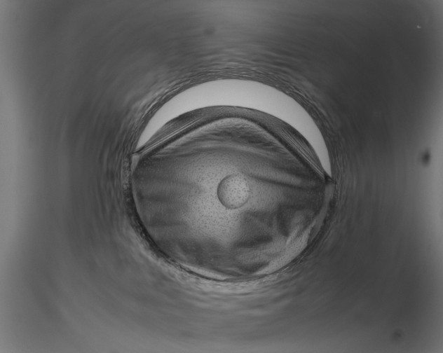 X0000116100043200912141007