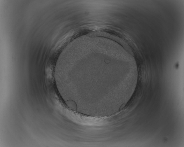 X0000116100044200912141007