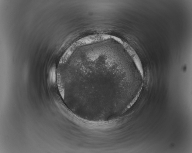 X0000116100046200912141007