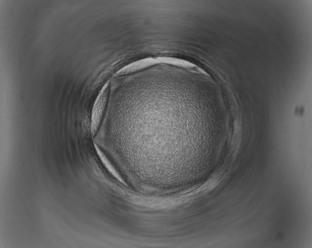 X0000116100048200912141007