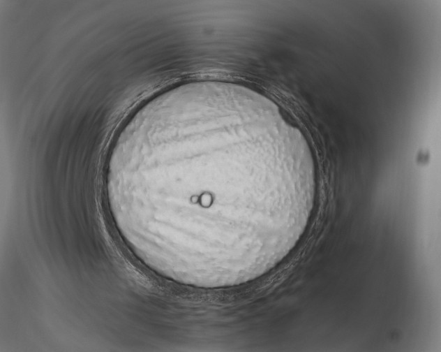 X0000116100049200912141006