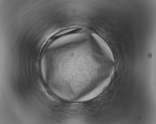 X0000116100050200912141006