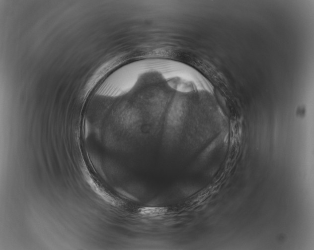 X0000116100051200912141006