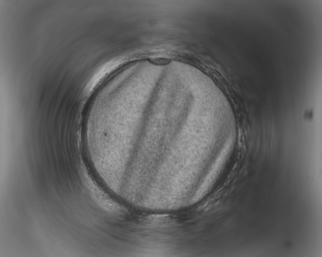 X0000116100054200912141006