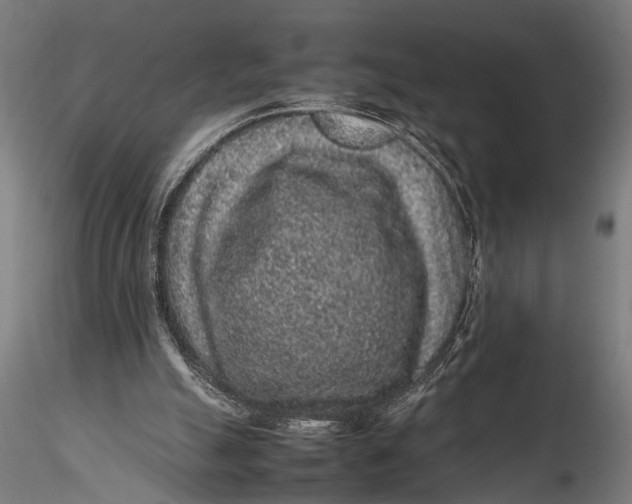 X0000116100055200912141006