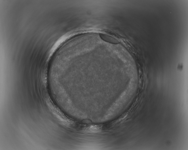 X0000116100056200912141006