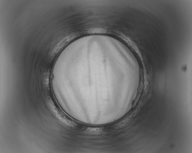 X0000116100057200912141006