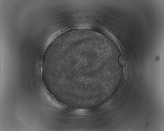 X0000116100059200912141006