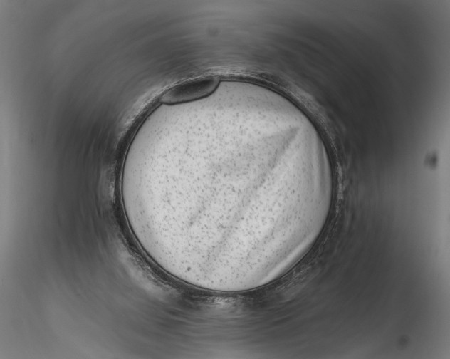 X0000116100060200912141006