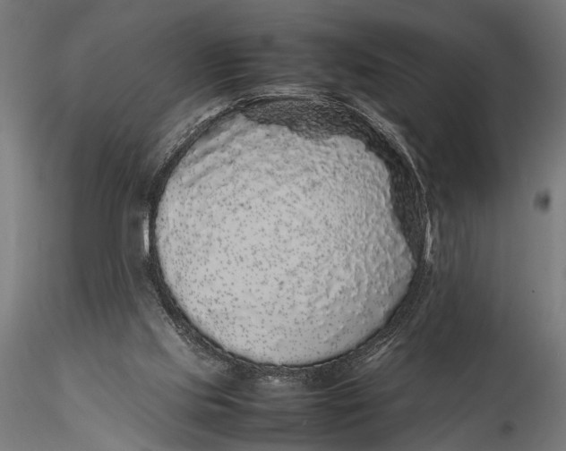 X0000116100061200912141006