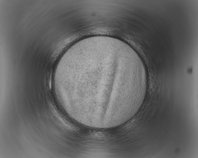 X0000116100062200912141006