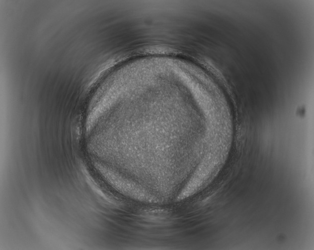 X0000116100063200912141006