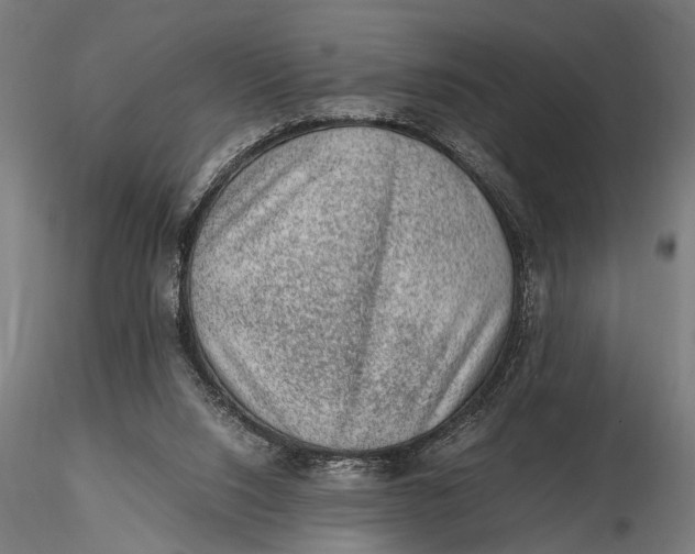 X0000116100064200912141006