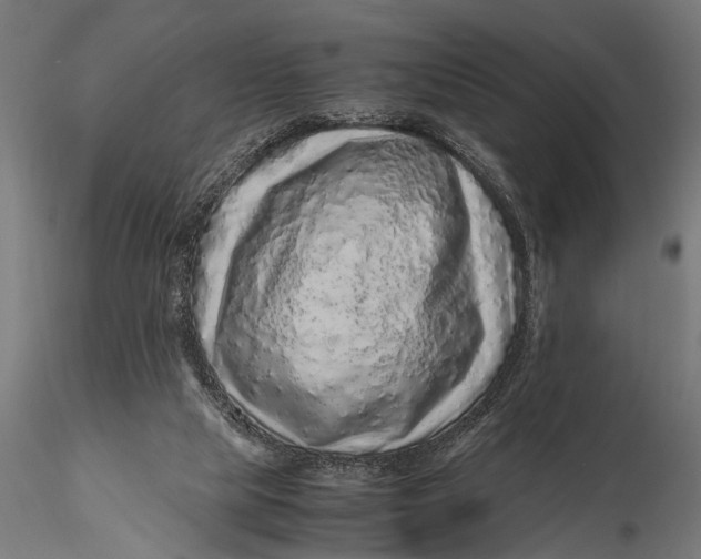 X0000116100065200912141006