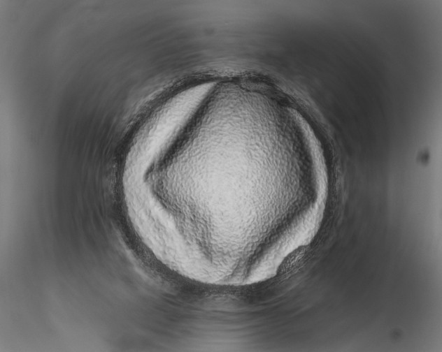 X0000116100066200912141006