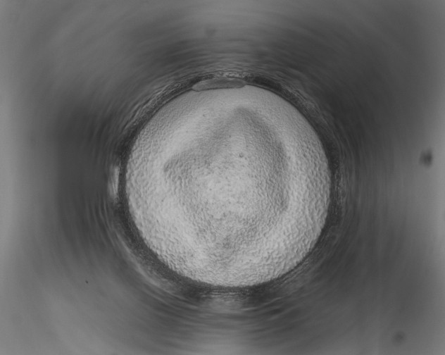 X0000116100070200912141006