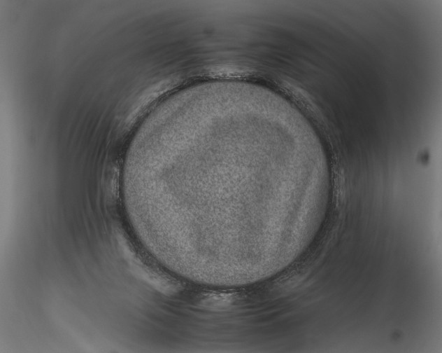 X0000116100071200912141006