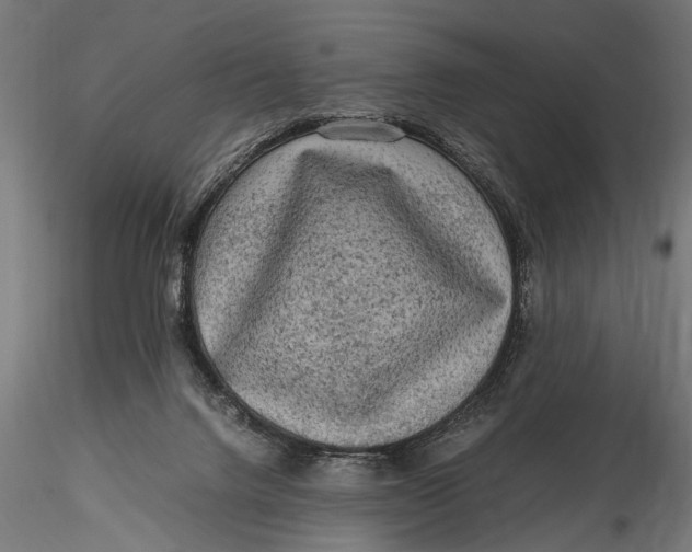 X0000116100072200912141006