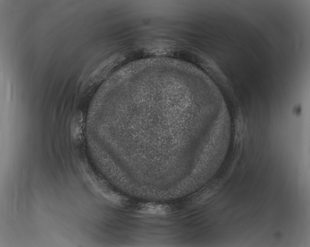 X0000116100073200912141006