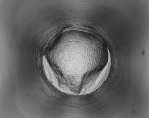 X0000116100074200912141006