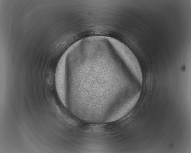 X0000116100078200912141006