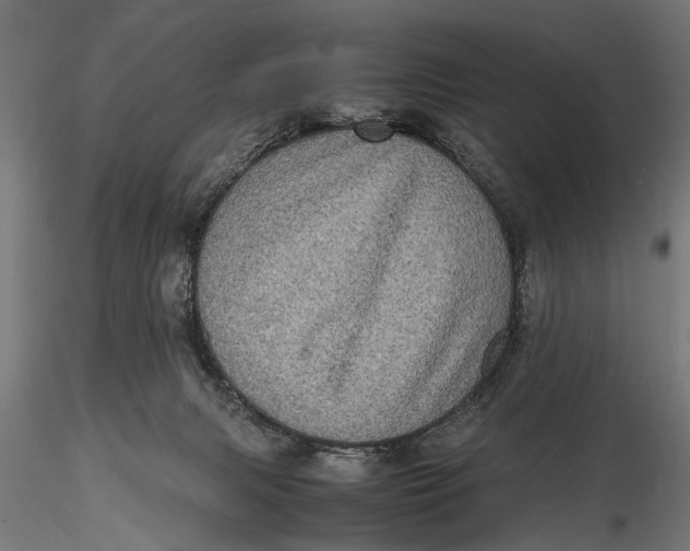 X0000116100079200912141007