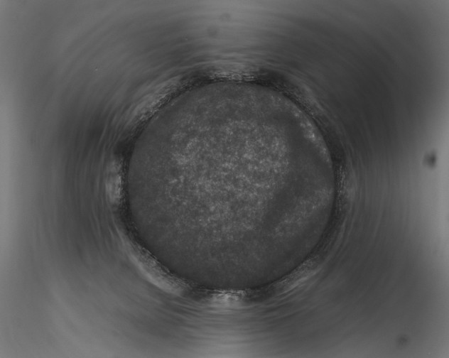 X0000116100080200912141007