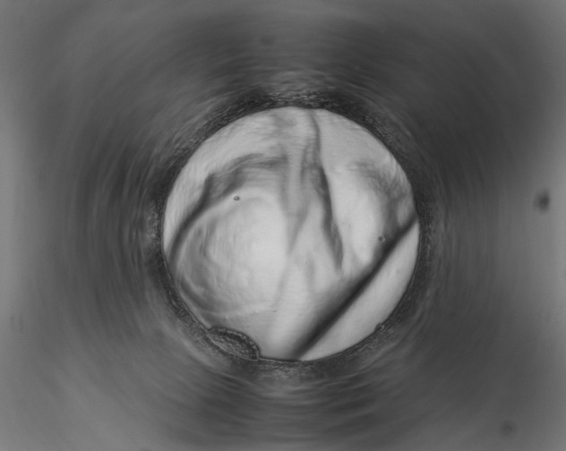 X0000116100081200912141007