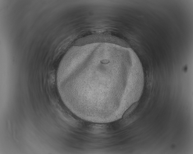 X0000116100085200912141007