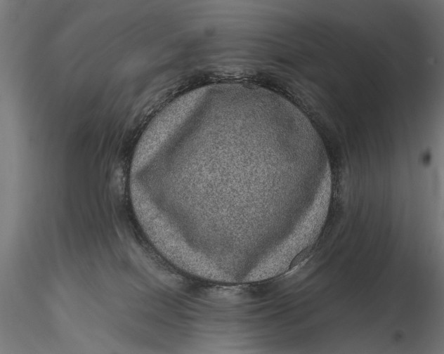 X0000116100086200912141007