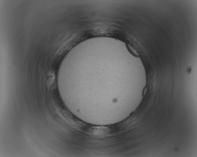 X0000116100087200912141007