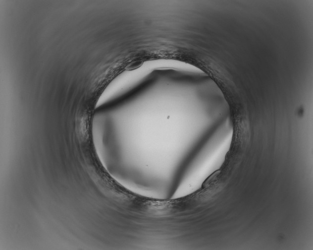 X0000116100088200912141007