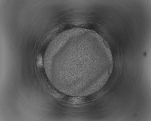 X0000116100089200912141007