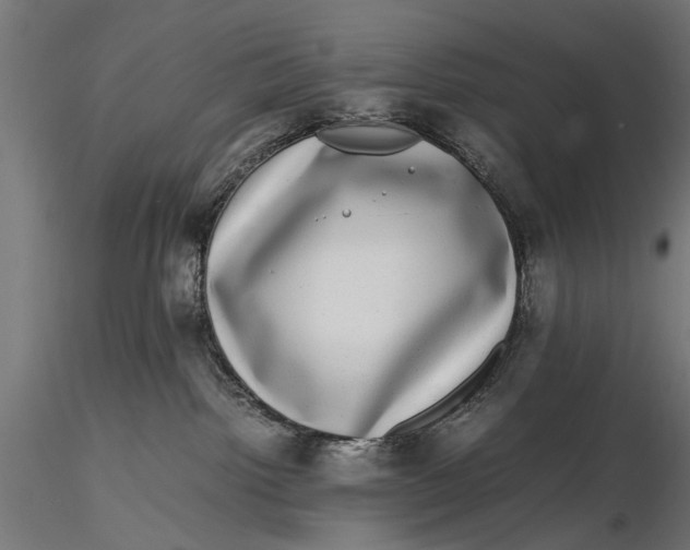 X0000116100092200912141007