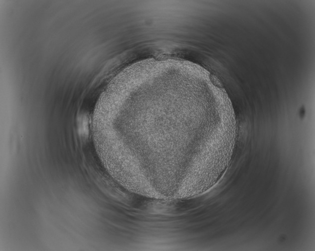 X0000116100094200912141007