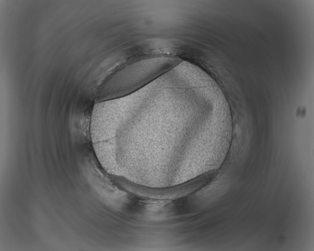 X0000116100096200912141007