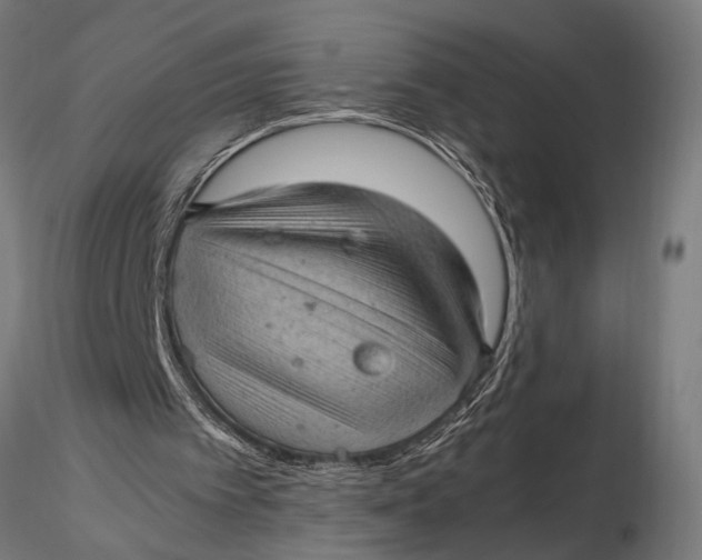 X0000116100097200912141006